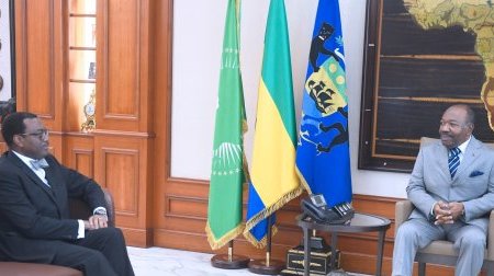 Ali Bongo échange avec le président de la Banque africaine de développement
