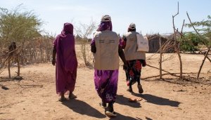 Crise au Soudan&nbsp;: 5 régions frappées par la famine, plus de 17 autres sont menacées