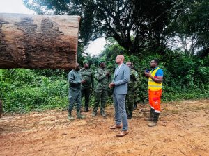 Forêt&nbsp;: le ministre Maurice Ntossui Allogo intensifie les contrôles sur le terrain