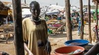 Soudan du Sud : l’ONU appelle à investir davantage pour éviter une crise alimentaire
