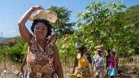 Haïti à un moment décisif de la reconstruction six mois après le séisme
