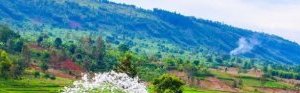 Les économies africaines enclavées ont des atouts pour contribuer à la prospérité du continent
