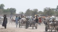 Cameroun&nbsp;: l’ONU alloue 6 millions de dollars pour les besoins vitaux humanitaires et de protection
