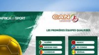 CAN 2025 : Neuf nations déjà qualifiées à deux journées de la fin des éliminatoires
