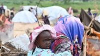 Tchad : Plus de 2,1 millions de personnes en insécurité alimentaire sévère
