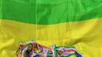 Taekwondo : Le Gabon brille à la President’s Cup Africa avec cinq médailles
