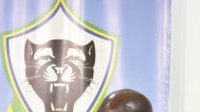 CN3&nbsp;: Vers le retour du championnat gabonais de 3e division de football
