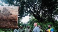 Forêt&nbsp;: le ministre Maurice Ntossui Allogo intensifie les contrôles sur le terrain
