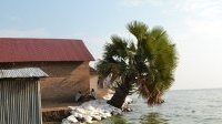 Ouganda&nbsp;: les effets économiques de la montée des eaux du lac Albert sont dévastateurs
