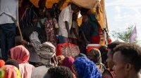 Soudan : l’ONU appelle à redoubler d’efforts pour ramener la paix
