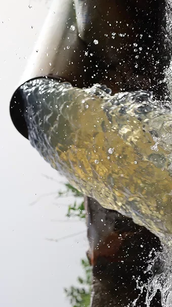 Eau agricole&nbsp;: la Banque mondiale voit 245 millions d’emplois à la clé
