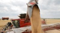 La FAO alerte sur des risques de pénuries alimentaires en Ukraine
