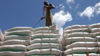 Les prix alimentaires mondiaux continuent de baisser depuis dix mois selon la FAO
