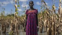 Il faut que les promesses d’aide à l’adaptation climatique pour les pays en développement soient tenues
