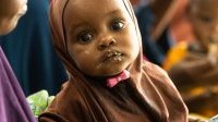 Somalie&nbsp;: un soutien urgent est nécessaire pour les communautés rurales confrontées à la famine
