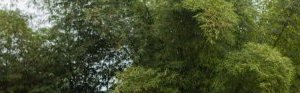 Booué : coup d’accélérateur au programme national de pose de compteurs électriques
