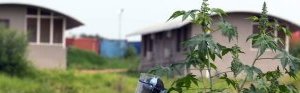 Casques bleus : l’ONU célèbre un héritage en quête d’avenir
