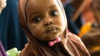 Somalie : un soutien urgent est nécessaire pour les communautés rurales confrontées à la famine
