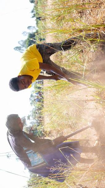 Afrique australe : des millions de personnes menacées par la faim alors que la période de soudure démarre
