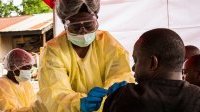 Afrique&nbsp;: les maladies transmises par les animaux à l’homme ont bondi au cours de la dernière décennie
