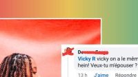 Un fan déclare sa flamme à Vicky R et lui demande sa main en ligne
