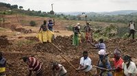 Plus de 866 millions d’agriculteurs et paysans nourrissent le monde
