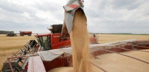 La FAO alerte sur des risques de pénuries alimentaires en Ukraine