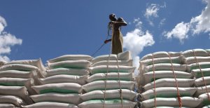Faute de financements, le Programme alimentaire mondial doit rationner l’aide aux réfugiés en Afrique