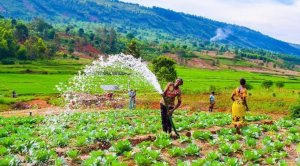 Les économies africaines enclavées ont des atouts pour contribuer à la prospérité du continent