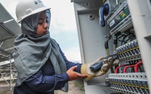Le nombre d’emplois liés aux énergies renouvelables s’accroît dans le monde