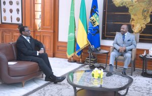 Ali Bongo échange avec le président de la Banque africaine de développement