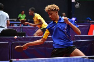 Tennis de table&nbsp;: le renouvellement du bureau de la fédération prévu ce 30 décembre&nbsp;!