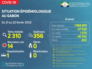 Coronavirus au Gabon&nbsp;: point journalier du 22 février 2022